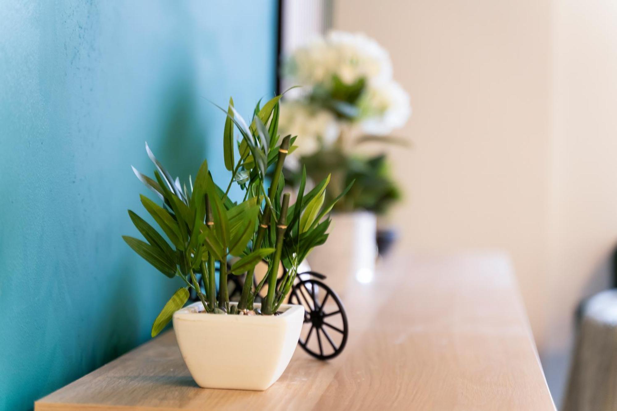 Evergreen Haven - Central 2Br - Free Parking W High Speed Wifi เบอร์มิงแฮม ภายนอก รูปภาพ